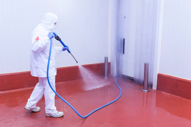 Best Boat and Dock Cleaning  in Findlay, OH